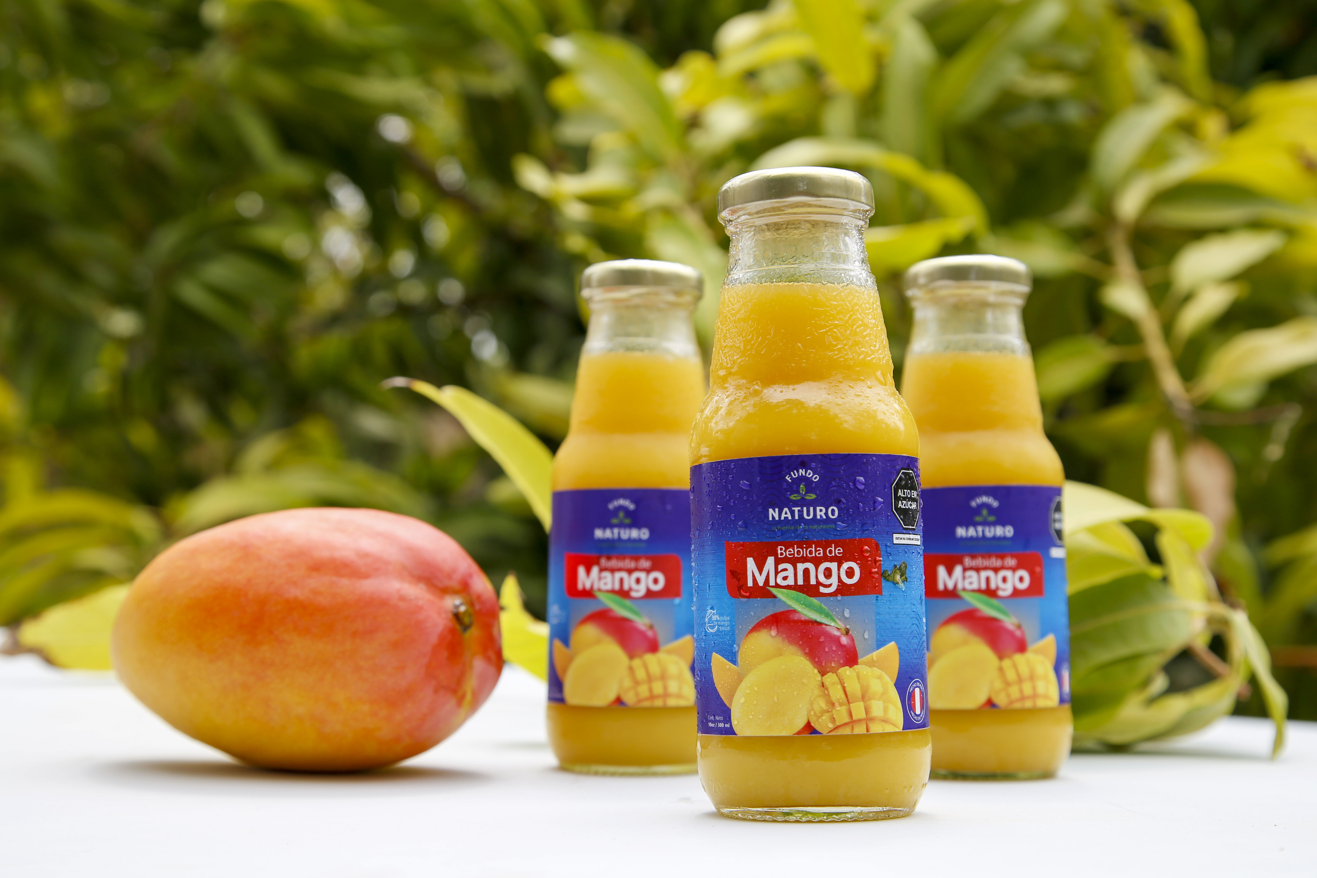 Jugo de Mango - Fk Consultoria y Gestion